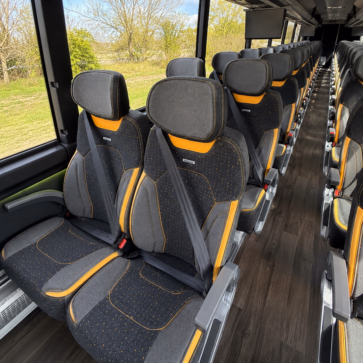 charter buses for san diego zoo field trips from oceanside schools